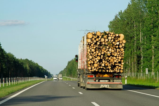 A truck carrying a large load of cut logs travels down a multi-lane highway bordered by trees on a clear day.