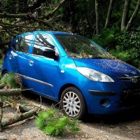 A blue car is damaged and trapped under fallen tree branches on a road, surrounded by debris and greenery—an accident scene where a Lansing Car Accident Lawyer could help navigate the aftermath.