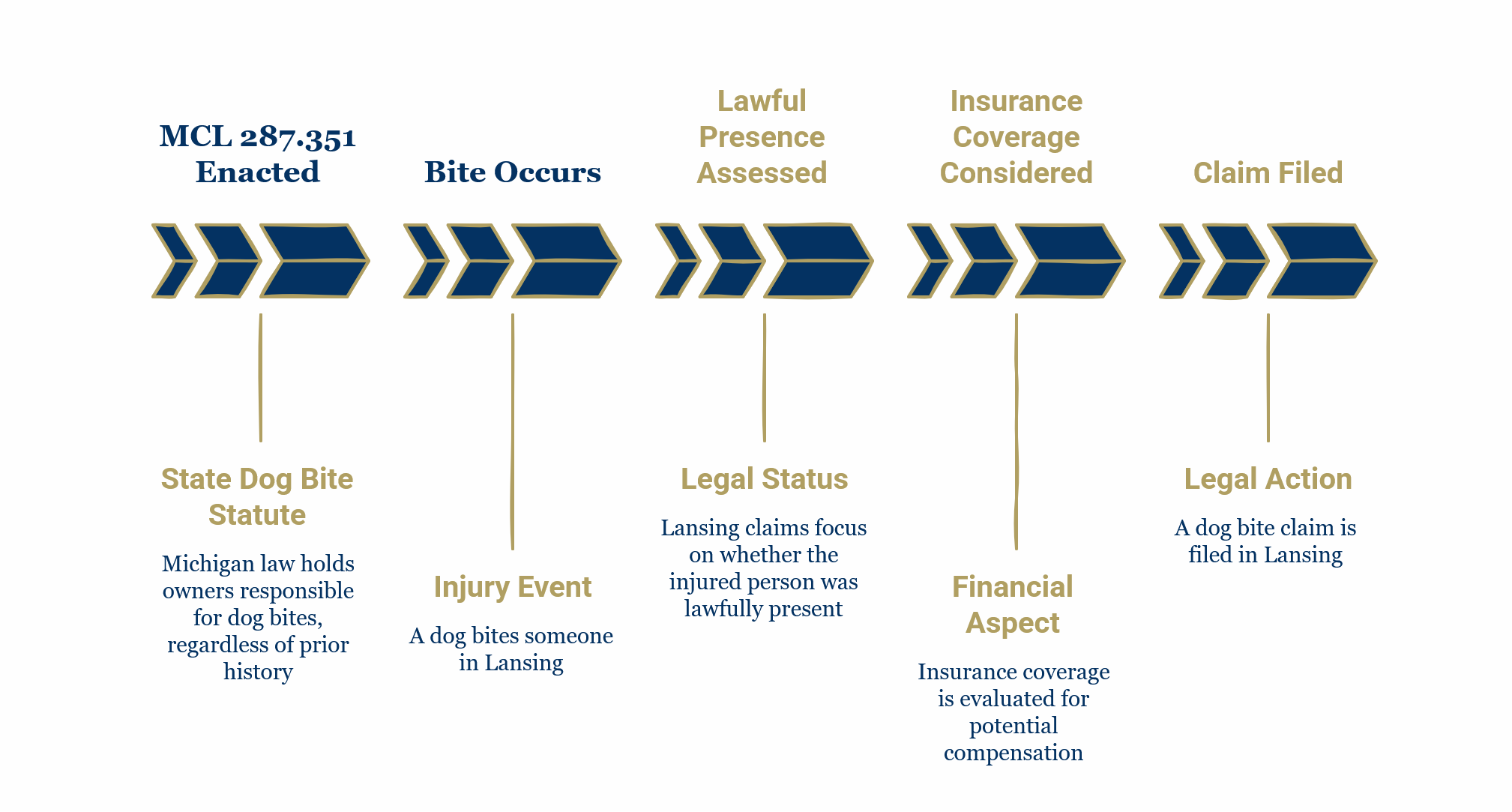 How Michgan Dog Bite Laws Apply to Lansing MI A timeline showing steps after a dog bite in Michigan, including statute enactment, injury, legal status, insurance, and claim filing.