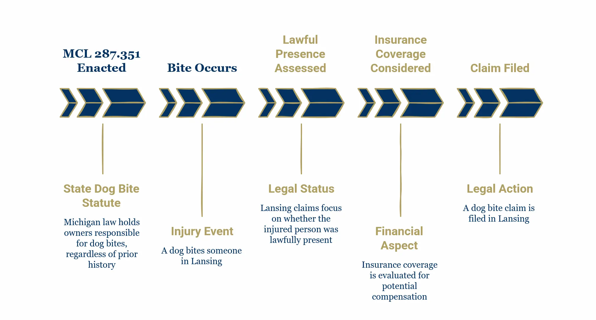 A timeline showing steps after a dog bite in Michigan: statute enacted, injury event, legal status, insurance coverage, and claim filed.